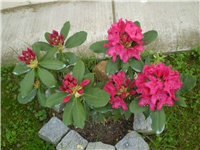 a914a6e0-Picture 5926.jpg